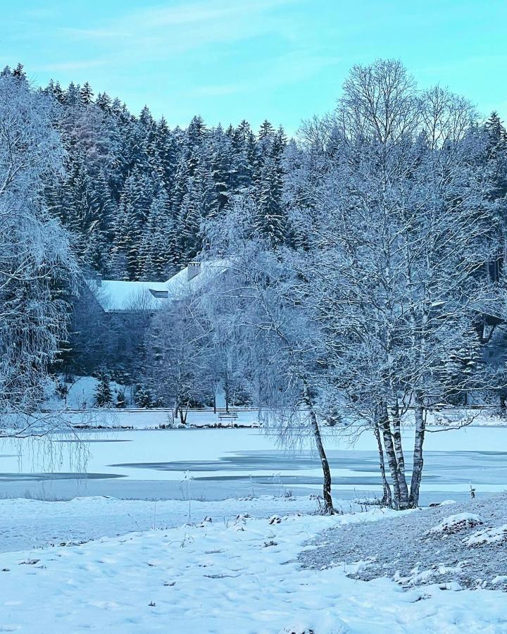 Lakeside Apartments Seefeld Seefeld in Tirol Exterior photo